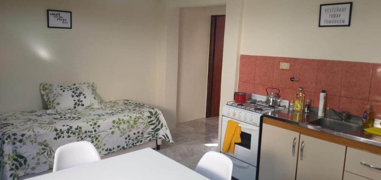 Departamentos Centro El Calafateアパートメント エクステリア 写真